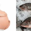 Bà bầu ăn cá rô phi được không? Khi bà bầu ăn cá rô phi cần lưu ý những gì?