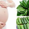 Bà bầu ăn được lá lốt không