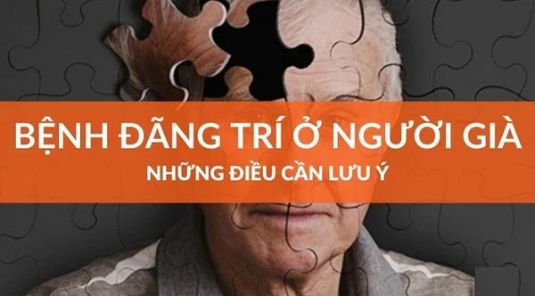 vì sao người lớn tuổi hay bị đãng trí