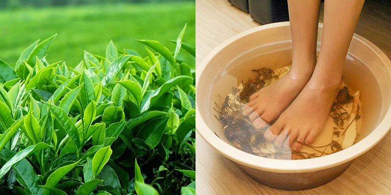 Sử dụng nước chè xanh